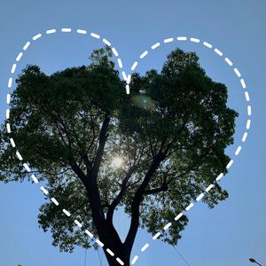 性欧美18ⅩⅩ❌❌❌车里
